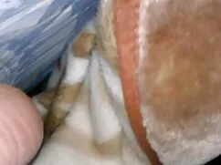 روسیه او شروع به سور ...