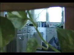 پیر مرد, مردان سیاه  ...